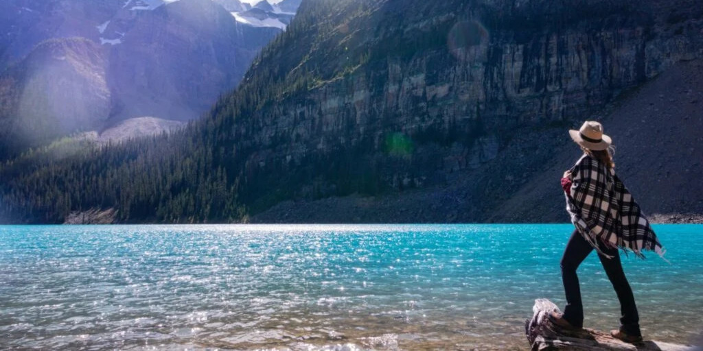 MP Background