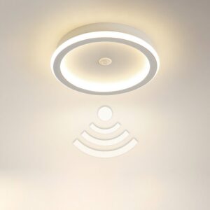 Plafonnier détecteur de mouvement intelligent rond
