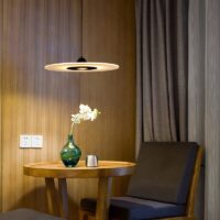 Plafonnier design disque plat minimaliste et tendance DEGE
