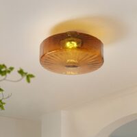 Plafonnier art déco en verre marron rond pour WC GEROG