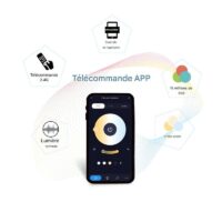 Plafonnier bluetooth connecté lumière multicolore pour chambre