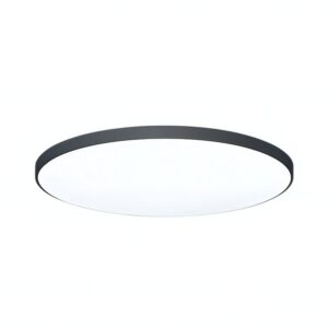 Plafonnier connecté intelligent LED avec télécommande à intensité variable